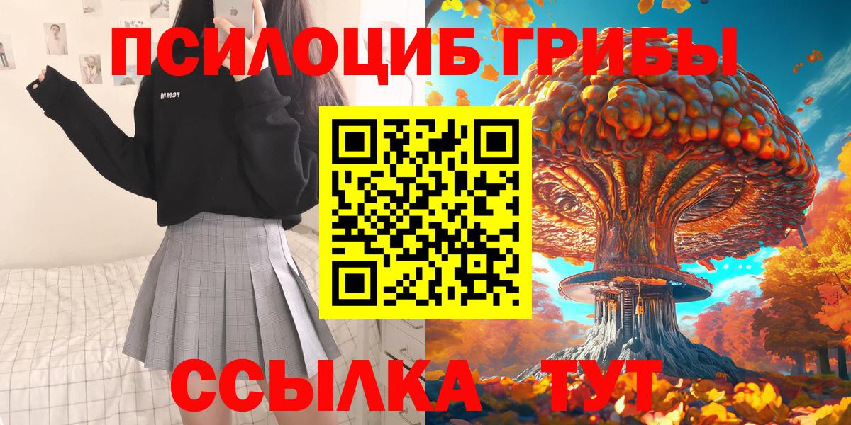 Галлюциногенные грибы GOLDEN TEACHER  Вход с VPN  Богородск 
